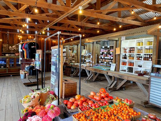 Pie Ranch by null