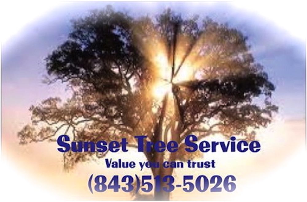 Sunset Tree Service - tree service in Charleston, SC