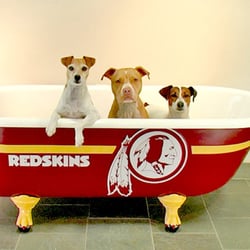 Porcelain Tub Restorations - Clawfoot bathtub refinishing
