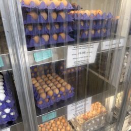 Egg selection Egg selection