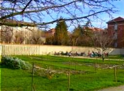 Jardin Catherine-Labouré by null