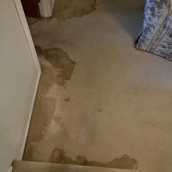Magnificent Carpet Care - Bad overspill from toilet. Ugly mess. - Carpet Cleaning Near Me Magnificent Carpet Care - Bad overspill from toilet. Ugly mess. - Carpet Cleaning Near Me
