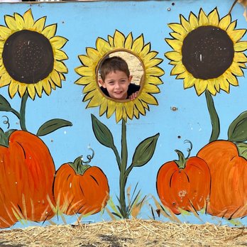 Pumpkin Station - Pumpkin Patches Near Me - Del Mar, California