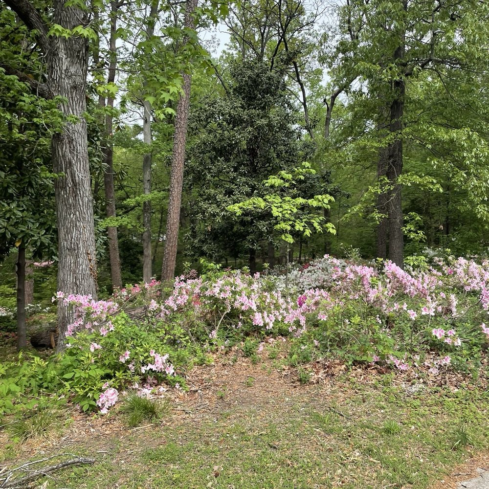 Fisher Park - Parks Near Me - Greensboro, North Carolina Fisher Park - Parks Near Me - Greensboro, North Carolina