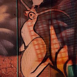 Palo Verde Lounge - Backyard Street art