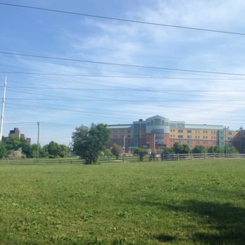 Thomson Memorial Park - Parks Near Me - Toronto, Ontario
