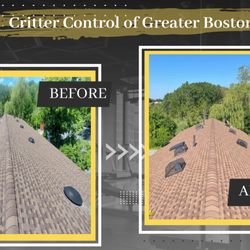 Critter Control of Greater Boston North - Preventative home care goes a long way! We offer Free Assessments to address any concerns you have.  Call us today to schedule your visit!