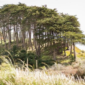 Seascape Beach Resort - Venues & Event Spaces Near Me - Aptos, California Seascape Beach Resort - Venues & Event Spaces Near Me - Aptos, California