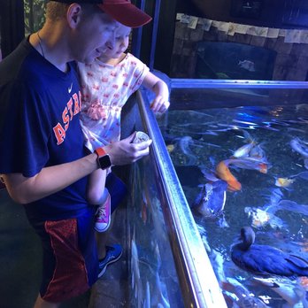 Austin Aquarium - Aquariums Near Me - Austin, Texas