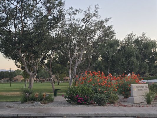 Ruth Hardy Park by null