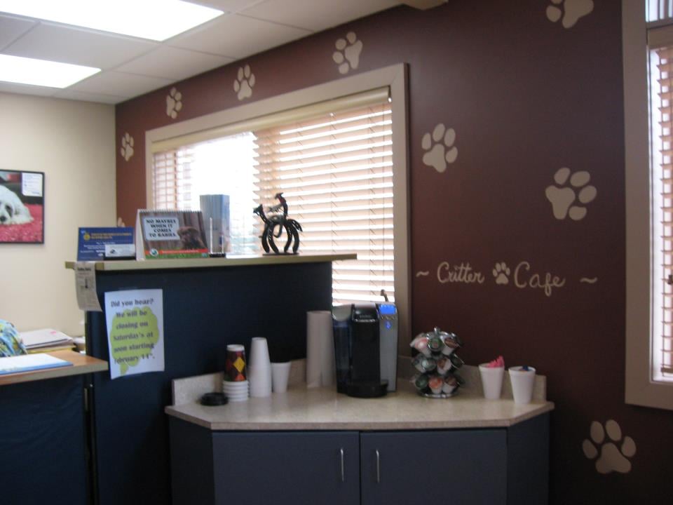 Photos of THONE ANIMAL CARE OF BLAIR Updated August 2024 11 Photos