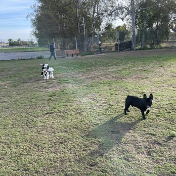 Orange Dog Park - Dog Parks Near Me - Orange, California Orange Dog Park - Dog Parks Near Me - Orange, California