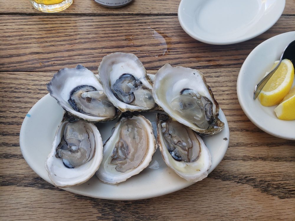 THE TEN BELLS 211 Photos & 478 Reviews Wine Bars 247 Broome St