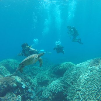 Humpback Divers - Diving with Alex and Matt! - Scuba Diving Near Me Humpback Divers - Diving with Alex and Matt! - Scuba Diving Near Me