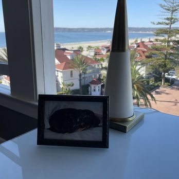 Hotel del Coronado, Curio Collection by Hilton - Picture of our dog--Coronado Island was his favorite place to go. He was a fan of "Loews Loves Pets"--but he would have loved it here too:-) - Coronado, CA