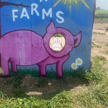 Carma Farms - Farms Near Me - Markham, Ontario Carma Farms - Farms Near Me - Markham, Ontario