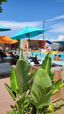 El Segundo Swim Club by null