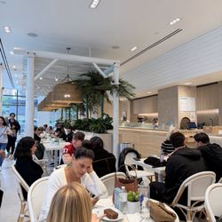 Pura Vida Miami