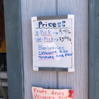 Jazz Blueberry Farm - Prices - Pick Your Own Farms Near Me - Shelby, Michigan