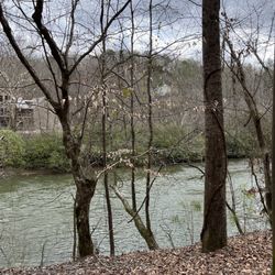 Chattahoochre National Forest