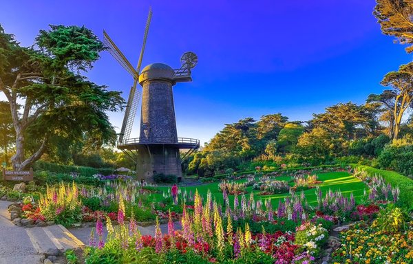 Dutch Windmill by null