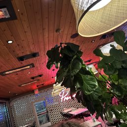 Enclosed and heated outdoor seating! Enclosed and heated outdoor seating!