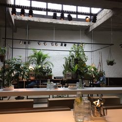 Balls & Glory - Indoor plants