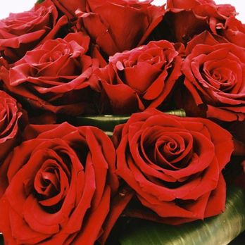 Saison Des Roses - Florists Near Me - Del Mar, California Saison Des Roses - Florists Near Me - Del Mar, California