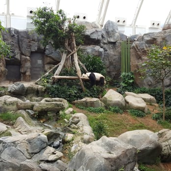 香港海洋公園 - Aquariums Near Me - Hong Kong, HK