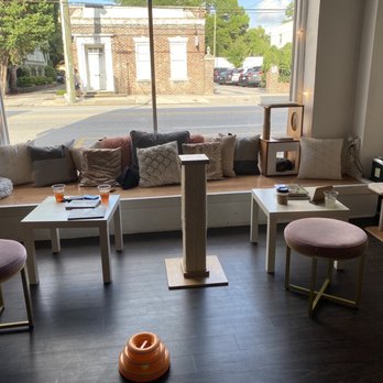 Pounce Cat Cafe - Cute Seating Area - Pet Adoption Near Me - Charleston, South Carolina