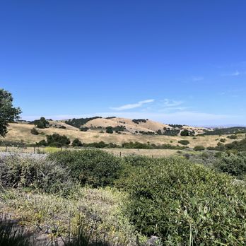 Calcareous Vineyard - Wine Tasting Room Near Me - Paso Robles, California Calcareous Vineyard - Wine Tasting Room Near Me - Paso Robles, California