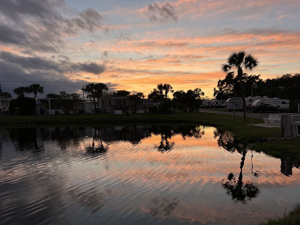 WHISPERING PALMS MOBILE VILLAGE Updated May 2024 1659 Photos