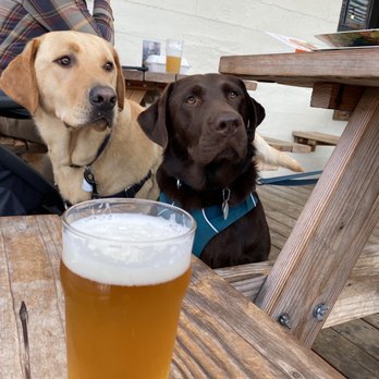 Beer Star - Mae and Checha, enjoying the patio and having a fresh beer! - Beer Bar Near Me - Seattle, Washington