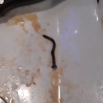 Sidelines Grille - 12/05/18 - Nail added to my steak sandwich for no extra charge! - Sports Bars Near Me - Woodstock, Georgia Sidelines Grille - 12/05/18 - Nail added to my steak sandwich for no extra charge! - Sports Bars Near Me - Woodstock, Georgia