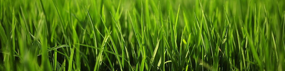 AFFINITY LANDSCAPING LLC