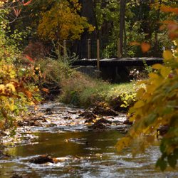 Fulling Mill Inn and Restaurant - Children love to play in the creek in the front yard.