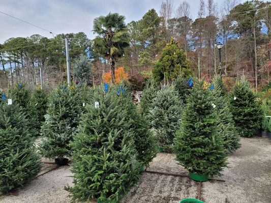 Garden Supply Company by null