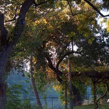 Hauli Huvila - The Kings River - Summer Camps Near Me - Reedley, California