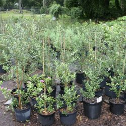 Quality Green Specialists - Quality Green Specialists