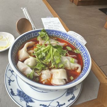 Dumpling Plus - Spicy shrimp and pork vegetable wontons - Chinese Near Me - University City, Missouri