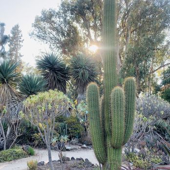 Arizona Garden - Botanical Gardens Near Me - Stanford, California Arizona Garden - Botanical Gardens Near Me - Stanford, California