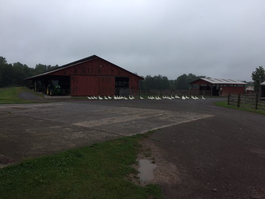 Kinderhook Farm by null