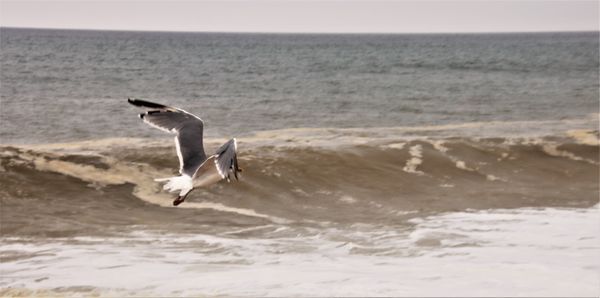 Ballston Beach by null