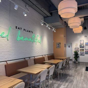 Elephant + Vine - Seating - Vegan Near Me - Chicago, Illinois