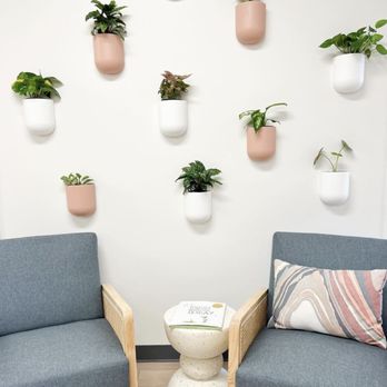 Flourish Airway Collective - Our living plants add a touch of nature and serenity, enhancing the atmosphere with its calming presence and fresh air benefits. - Pediatric Dentists Near Me - Blackhawk, California Flourish Airway Collective - Our living plants add a touch of nature and serenity, enhancing the atmosphere with its calming presence and fresh air benefits. - Pediatric Dentists Near Me - Blackhawk, California