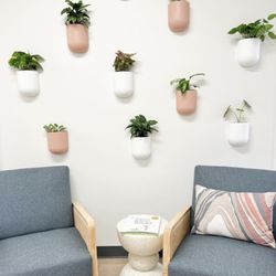 Flourish Airway Collective - Our living plants add a touch of nature and serenity, enhancing the atmosphere with its calming presence and fresh air benefits.