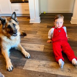 Patton Chapel Animal Clinic - Zee and his baby brother