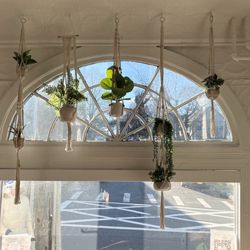 Commune - Window