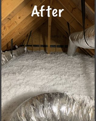 Insulation, pest removal, pest control and so on - Full service attic insulation and installation. Restoring your attic and sealing your house from rodents is just some of the stuff that I do I also do insect such as roach, ants, bedbugs, wasps etc.￼ text or call me at 512.993.1371