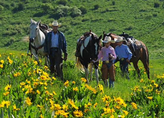 Guided Half or Full Day Trail Rides - Experience the beauty of nature on a half or full-day trail ride that includes a delightful bagged picnic lunch! After a warm welcome and a quick safety briefing, you’ll be paired with a friendly, well-trained horse and head out on a scenic route. Your knowledgeable guide will share insights about the local flora and fauna as you enjoy the gentle rhythm of horseback riding. This experience is perfect for riders of all levels, blending adventure with the tranquility of nature and a chance to savor a tasty meal outdoors. Click to book your ride today! https://steamboathorses.com/rides/12-day-summer-trail-ride/ or Call (970) 879-3495 Guided Half or Full Day Trail Rides - Experience the beauty of nature on a half or full-day trail ride that includes a delightful bagged picnic lunch! After a warm welcome and a quick safety briefing, you’ll be paired with a friendly, well-trained horse and head out on a scenic route. Your knowledgeable guide will share insights about the local flora and fauna as you enjoy the gentle rhythm of horseback riding. This experience is perfect for riders of all levels, blending adventure with the tranquility of nature and a chance to savor a tasty meal outdoors. Click to book your ride today! https://steamboathorses.com/rides/12-day-summer-trail-ride/ or Call (970) 879-3495